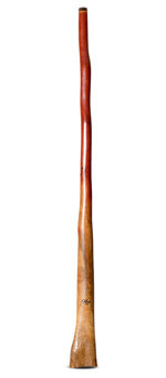 Tristan O'Meara Didgeridoo (TM460)